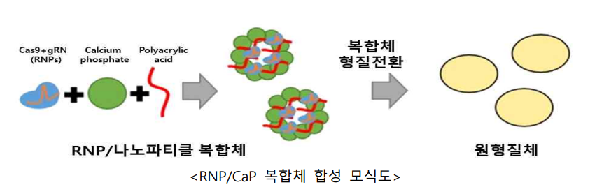 출처 : 농업진흥청